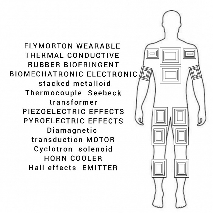 https://www.flymorton.com